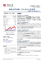 大国雄芯·半导体系列报告（十）：拥抱光学浪潮，CIS龙头大放异彩