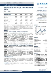 宁德时代包揽25亿元定增，强强联合共迎黄金时代