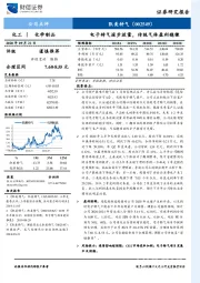 电子特气逐步放量，传统气体盈利稳健