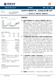 动态点评：拟并购中电熊猫两产线，全球面板龙头腾飞在即