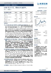 AMD马力十足，驱动公司高景气