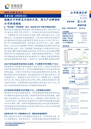 核酸分子诊断龙头地位凸显,强大产品群推动公司快速崛起