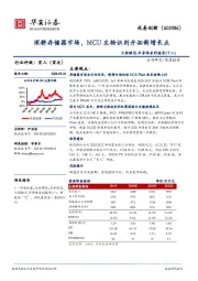 大国雄芯.半导体系列报告（十二）：深耕存储器市场，MCU生物识别开拓新增长点