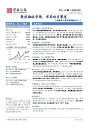 大国雄芯·半导体深度报告(十一):聚焦面板市场,布局硅片赛道