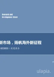 深度报告：掘金国内新市场，扬帆海外新征程