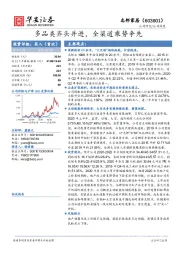 多品类齐头并进,全渠道乘势争先