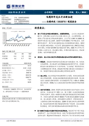 深度报告：电缆附件龙头开启新征途