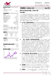 静待OLED材料及沸石放量，未来成长可期