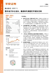 国内电子办公龙头，顺应时代潮流打开成长空间