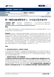 重大事件快评：新一期股权激励彰显信心，日化龙头复苏进行时