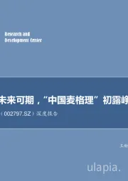 深度报告：债券直融未来可期，“中国麦格理”初露峥嵘
