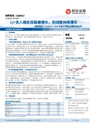 2020年前三季度业绩快报点评：Q3收入端实现稳健增长，利润维持高增长