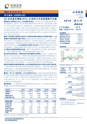 Q3扣非盈利增幅201%，云南神火并表持续提升业绩