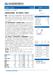 业绩增长超预期，海外份额进一步提升