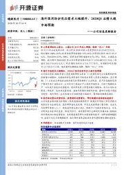 公司信息更新报告:海外医用防护用品需求大幅提升,2020Q3业绩大超市场预期