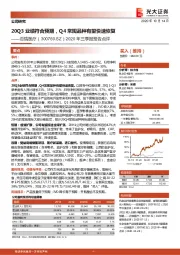 2020年三季报预告点评：20Q3业绩符合预期，Q4常规品种有望快速恢复