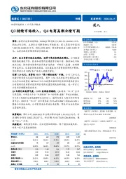 Q3持续市场投入，Q4电商高潮业绩可期