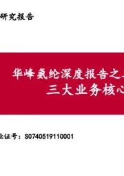 华峰氨纶深度报告之二：三大业务核心竞争力解析