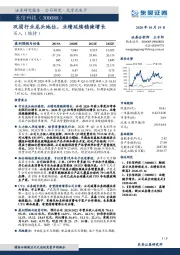 巩固行业龙头地位，业绩延续稳健增长