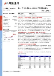 公司信息更新报告:安全、军工持续发力,2020Q3净利润高速增长