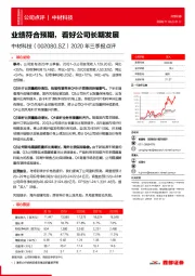 2020年三季报点评:业绩符合预期,看好公司长期发展