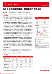 2020年3季报点评：Q3业绩环比略有改善，费用率提升拖累盈利