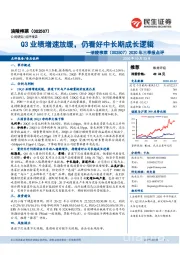 2020年三季报点评:Q3业绩增速放缓,仍看好中长期成长逻辑