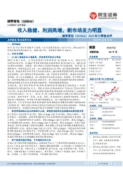 2020年三季报点评:收入稳健、利润高增,新市场发力明显