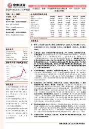 出货延迟、检修、环保费用等影响当期业绩;API、CDMO、制剂新增长可期