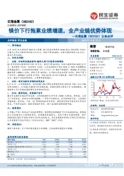 公告点评：镁价下行拖累业绩增速，全产业链优势体现