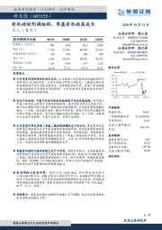 有机硅助剂调结构，苯基有机硅高成长