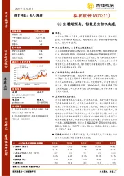 Q3业绩超预期，铅酸龙头扬帆起航