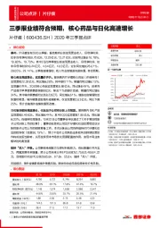 2020年三季报点评：三季报业绩符合预期，核心药品与日化高速增长