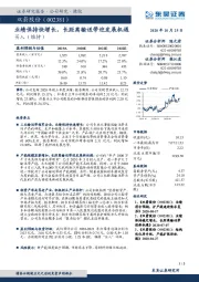 业绩保持快增长,长距离输送带迎发展机遇