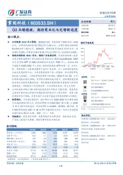 Q3业绩稳健，期待商业化与定增新进度