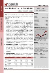 点评报告:Q3业绩单季环比大增,预计Q4维持改善