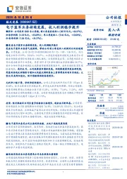 电子蓝军业务持续发展,收入利润稳步提升