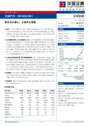 营收同比增长，业绩符合预期