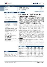 2020年三季报业绩点评:Q3业绩大增,高端布局可期