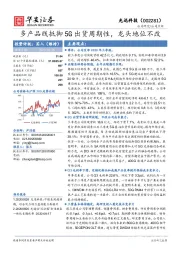 多产品线抵御5G出货周期性,龙头地位不改
