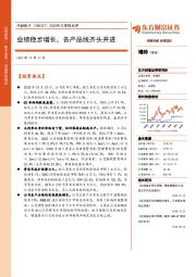 2020年三季报点评：业绩稳步增长，各产品线齐头并进