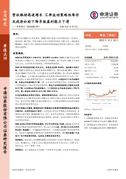 营收维持高速增长 汇率波动策略性降价及政府补助下降导致盈利能力下滑