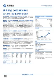 收入高增，财务费用增加影响利润