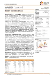 通往国内一流新能源运营商之路