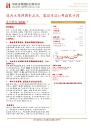 国内水处理药剂龙头，募投项目打开成长空间