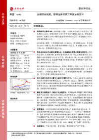 2020年三季报点评:业绩符合预期,碳梁业务在第三季度加快交付
