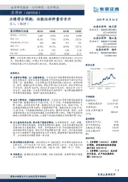 业绩符合预期，功能性材料量价齐升