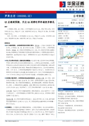 Q3业绩超预期，关注Q4消费旺季终端复苏情况