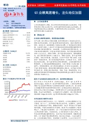 Q3业绩高速增长，龙头地位加固