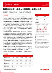 2020年三季报点评：盈利持续修复，中化入主迎接新一轮增长起点